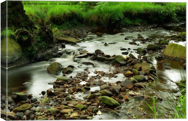 LITTLE WATERFALL. Canvas Print by andrew saxton