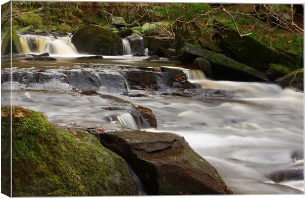 SO MANY FALLS Canvas Print by andrew saxton