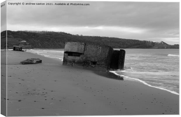 COASTAL LOOKOUT Canvas Print by andrew saxton