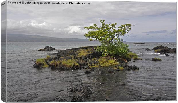 Volcanic rock. Canvas Print by John Morgan