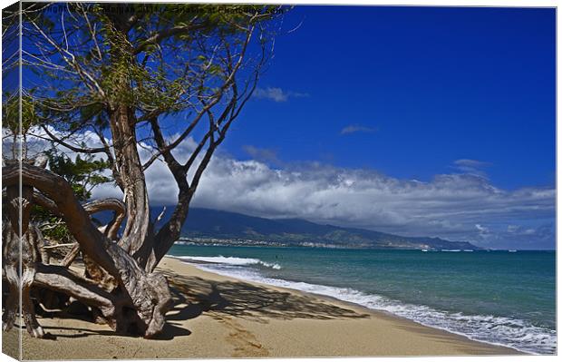 Shoreline. Canvas Print by John Morgan