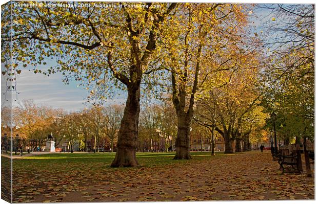 Queens Square walk. Canvas Print by John Morgan