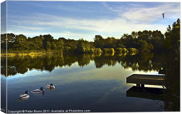 Lake @ Arrow Valley Country Park Redditch Canvas Print by Peter Blunn