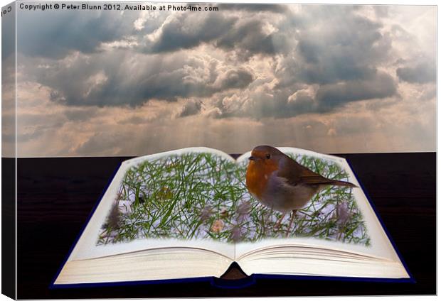 Pop-up open Book with Robin Canvas Print by Peter Blunn