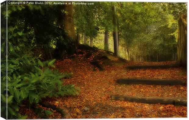 Autumn's Golden woodland Pathway #2 Canvas Print by Peter Blunn