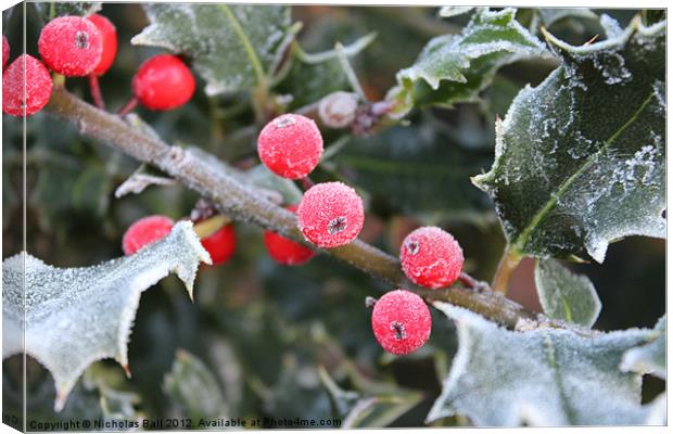 Frosty Holly Canvas Print by Nicholas Ball