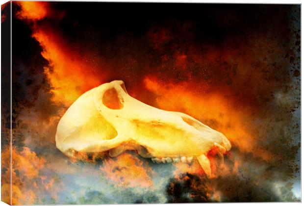 On fire Canvas Print by Maria Tzamtzi Photography