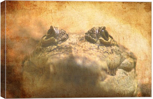 Crocodylus Moreletii Close up Canvas Print by Maria Tzamtzi Photography