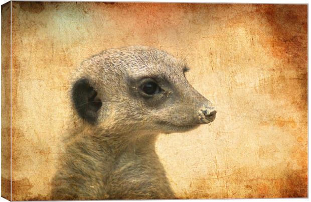 Is this my good side? Canvas Print by Maria Tzamtzi Photography