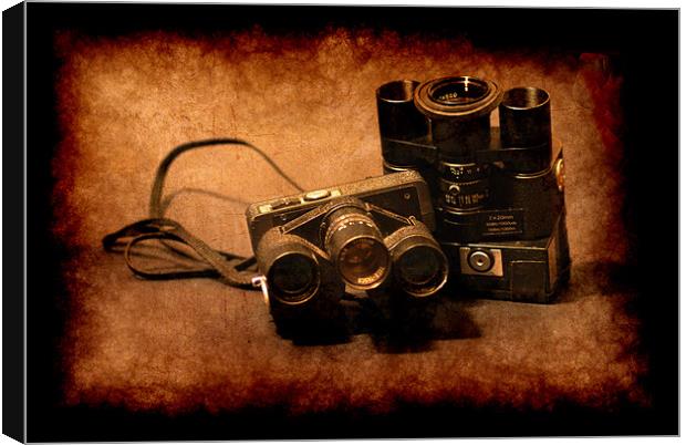 Spy cams Canvas Print by Maria Tzamtzi Photography