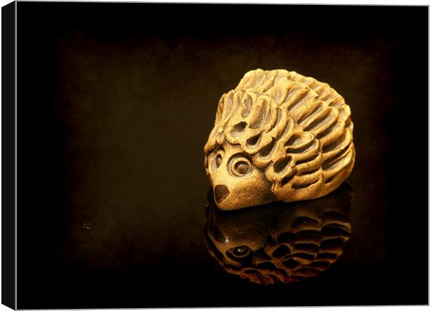 Henry the shiny Hedgehog Canvas Print by Maria Tzamtzi Photography