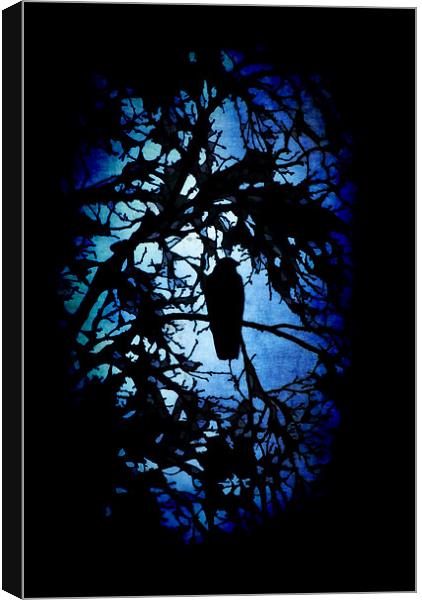 The Raven (dark) Canvas Print by Maria Tzamtzi Photography