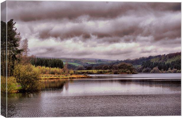 Fewston Reservoir Canvas Print by Maria Tzamtzi Photography