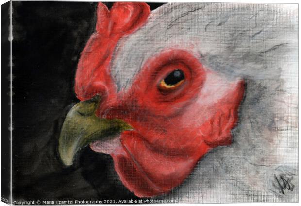 Original Art - Hen Close up Canvas Print by Maria Tzamtzi Photography