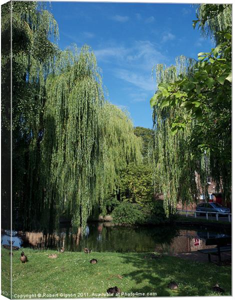 Village Pond in Haxby Canvas Print by Robert Gipson
