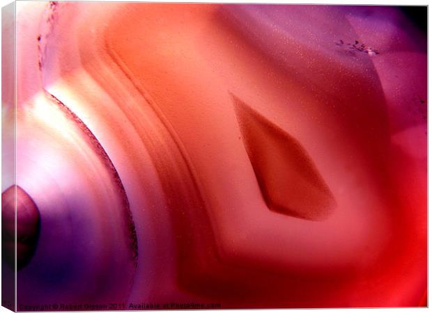 Agate slice 2 Canvas Print by Robert Gipson