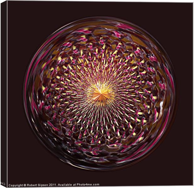 Spherical Paperweight sunflower Canvas Print by Robert Gipson