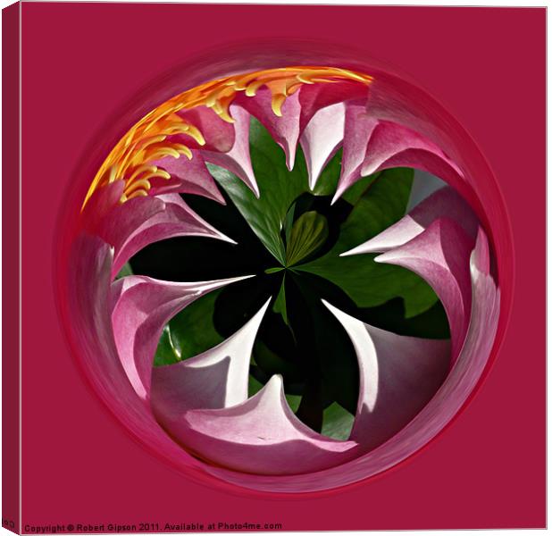 Spherical Lily paperweight Canvas Print by Robert Gipson
