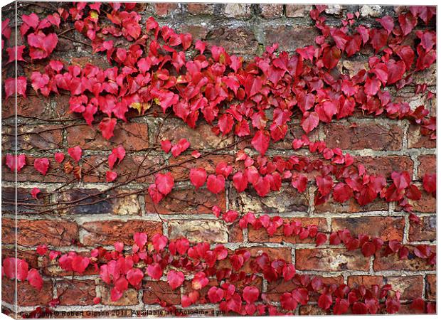 Autumn creeps along the wall Canvas Print by Robert Gipson