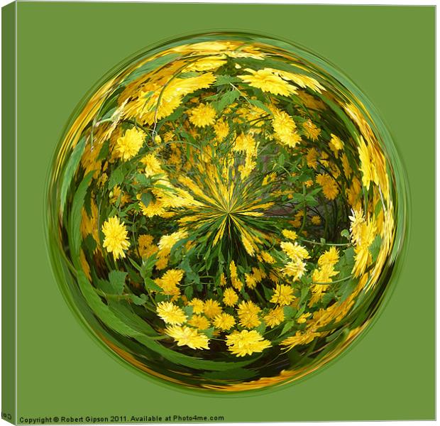 Abstract Yellow flower paperweight Canvas Print by Robert Gipson