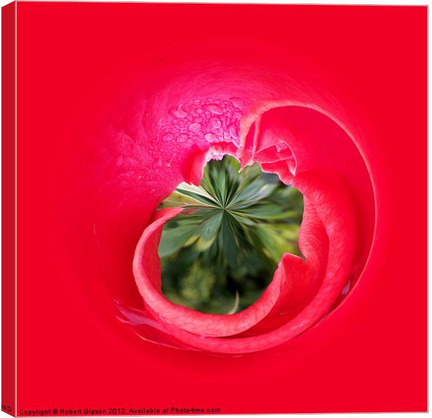 Red Rose...from the inside. Canvas Print by Robert Gipson