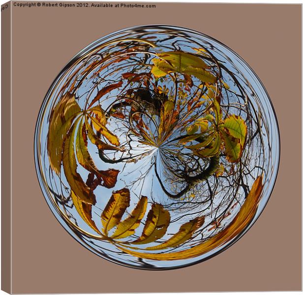Spherical Autumn decay Canvas Print by Robert Gipson