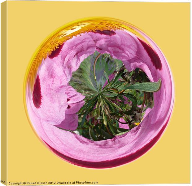 Spherical Glass poppy Canvas Print by Robert Gipson