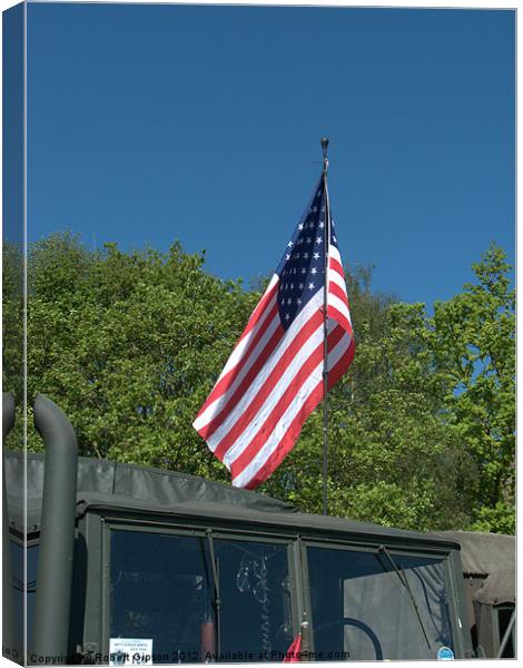 Stars and Stripes Canvas Print by Robert Gipson