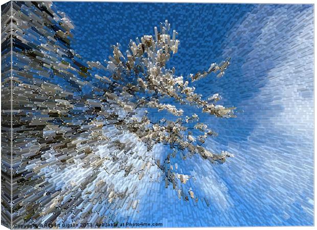 Bursting blossom Canvas Print by Robert Gipson