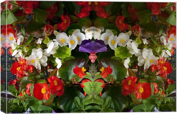 Flowers double reflection Canvas Print by Robert Gipson