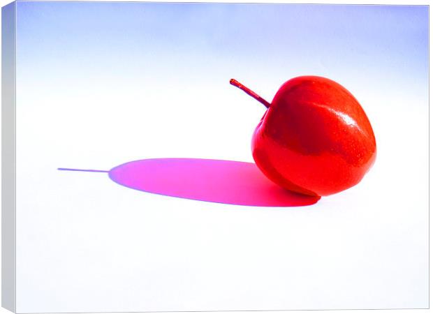 Red Apple Canvas Print by Robert Gipson