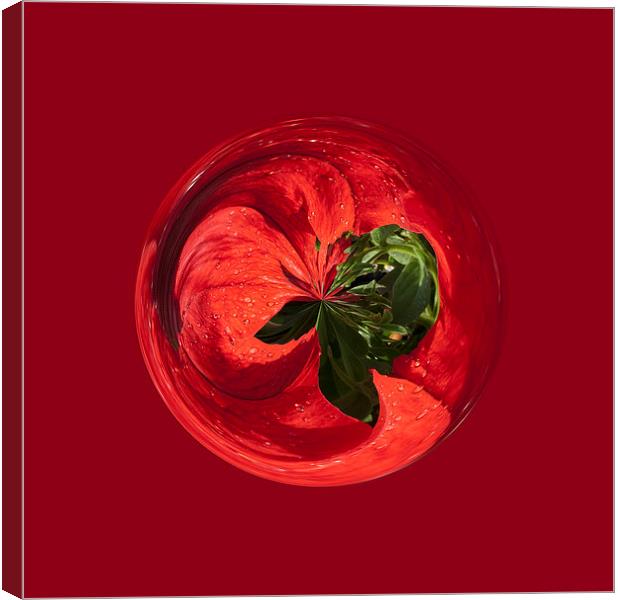 Petunia Sphere Canvas Print by Robert Gipson