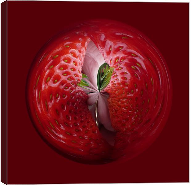 Strawberry from the inside Canvas Print by Robert Gipson