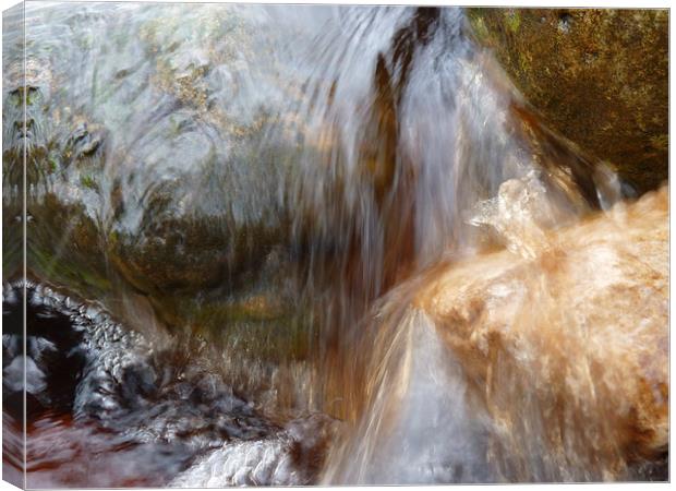 water in the Yorkshire stream Canvas Print by Robert Gipson