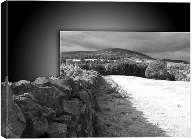 Yorkshire stone wall Canvas Print by Robert Gipson