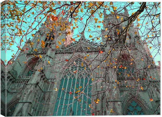 York MInster in the fall Canvas Print by Robert Gipson