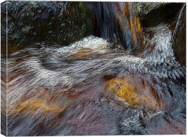 The Flow Canvas Print by Robert Gipson