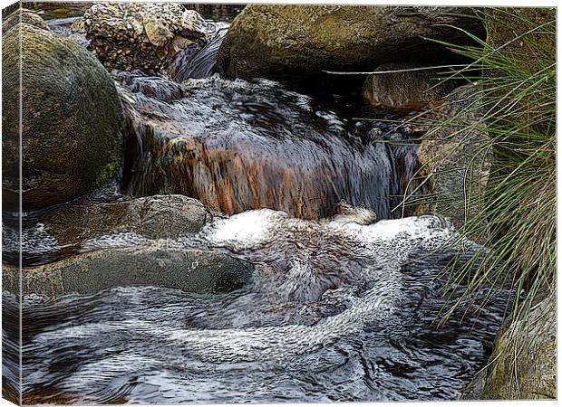 More flow Canvas Print by Robert Gipson