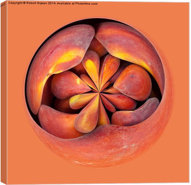  Peach in the globe 2 Canvas Print by Robert Gipson