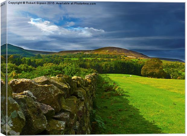  Yorkshire, looking it,s best again. Canvas Print by Robert Gipson