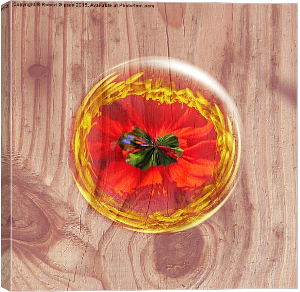  Flower Bubble across wood Canvas Print by Robert Gipson