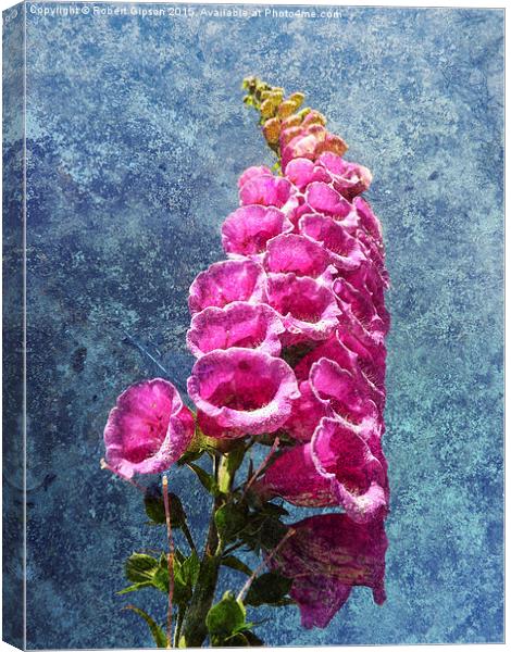  Foxglove with texture reaching for the sky. Canvas Print by Robert Gipson