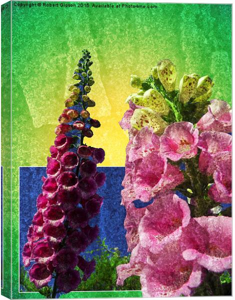   Two Foxglove flowers on texture and frame Canvas Print by Robert Gipson