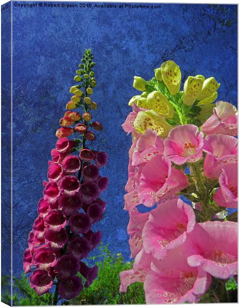   Two Foxglove flowers with textured background Canvas Print by Robert Gipson