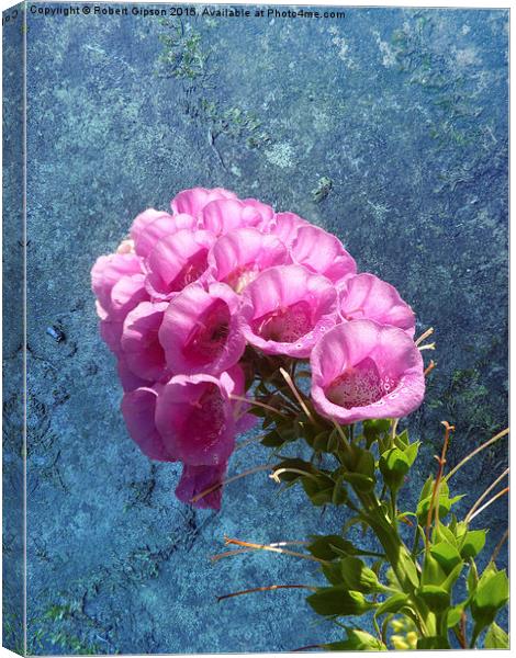   Foxglove with texture reaching for the sky. Canvas Print by Robert Gipson