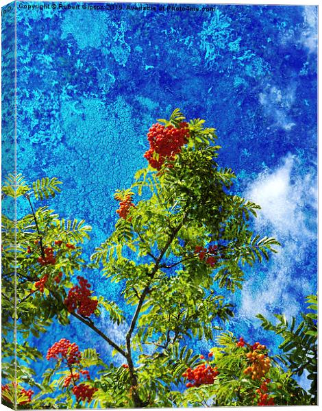  Rowan tree  with be berries and textures Canvas Print by Robert Gipson