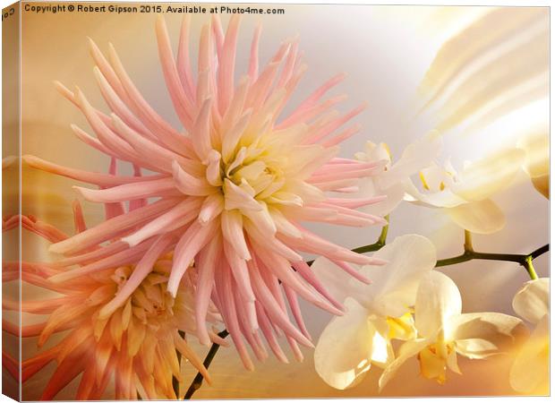   A summer Dahlia flower with Orchids on texture Canvas Print by Robert Gipson