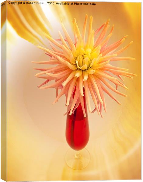  Dahlia and vase Canvas Print by Robert Gipson