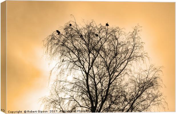 Sepia Roosting birds Canvas Print by Robert Gipson