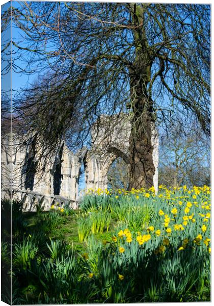 Spring in York Museum Gardens Canvas Print by Robert Gipson